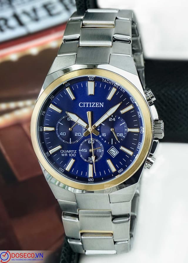 Citizen Pin (Quartz) AN8176-52L