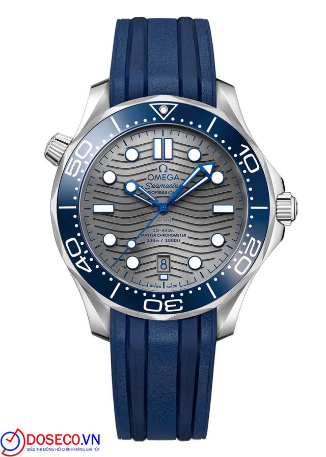 Omega Seamaster Diver 210.32.42.20.06.001