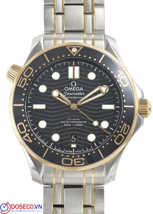 Omega Seamaster Diver 210.20.42.20.01.002
