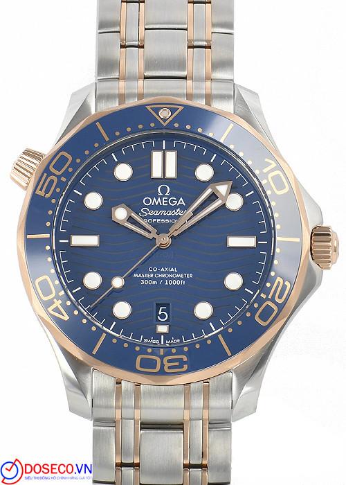 Omega Seamaster Diver 210.20.42.20.03.002