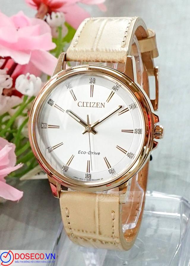 Citizen Eco-drive FE7033-08A