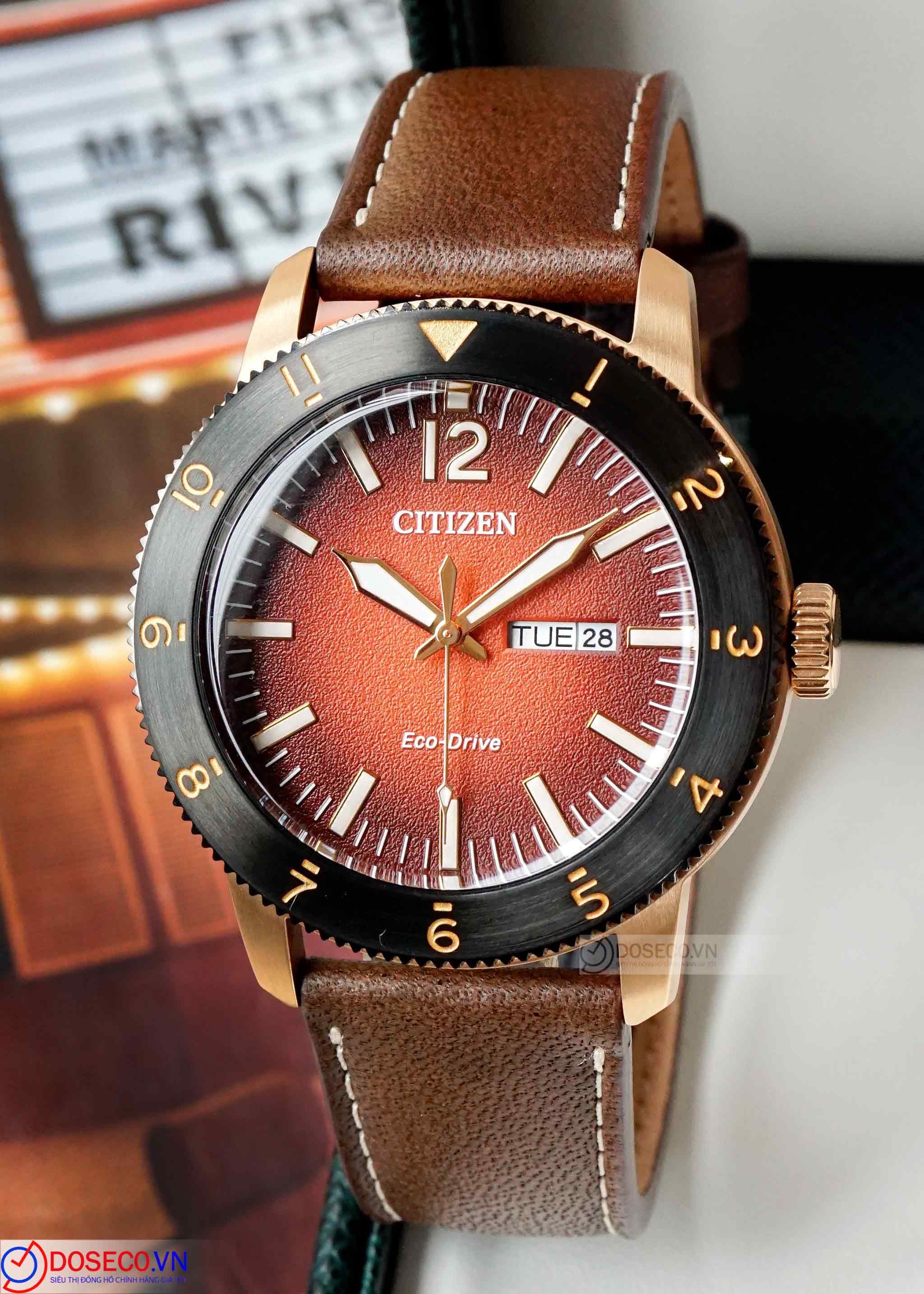 20201107_110105_Citizen Eco-drive AW0079-13X (1).jpg