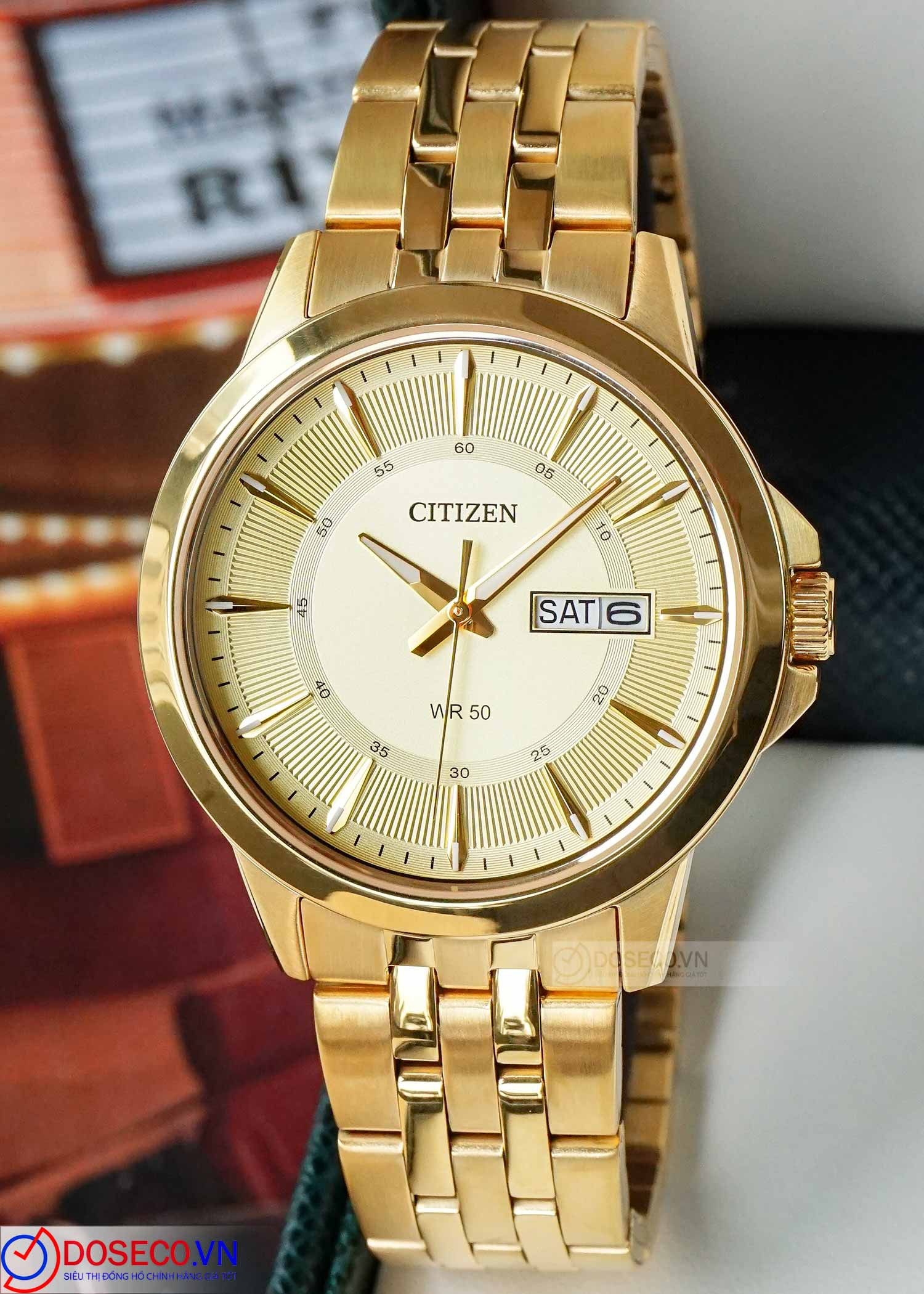 Citizen BF2013-56P