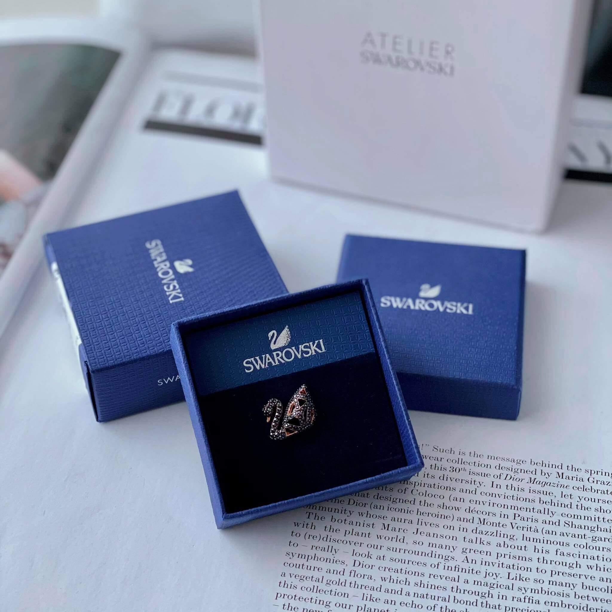 20210920_135357_swarovski-5439870.jpeg