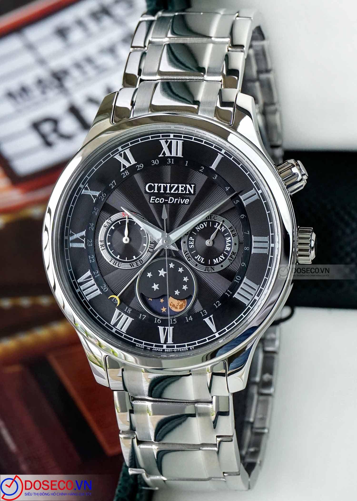 Citizen Eco-drive Moonphase AP1050-81E (1).jpg