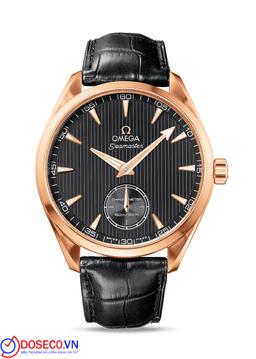 Omega Seamaster Aqua Terra 231.53.49.10.06.001 23153491006001