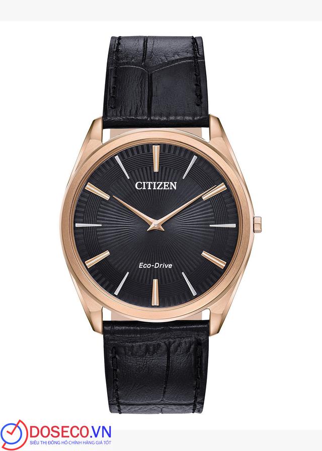 Citizen Eco-Drive AR3073-06E