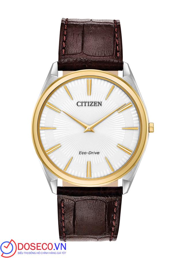 Citizen Eco-Drive AR3074-03A