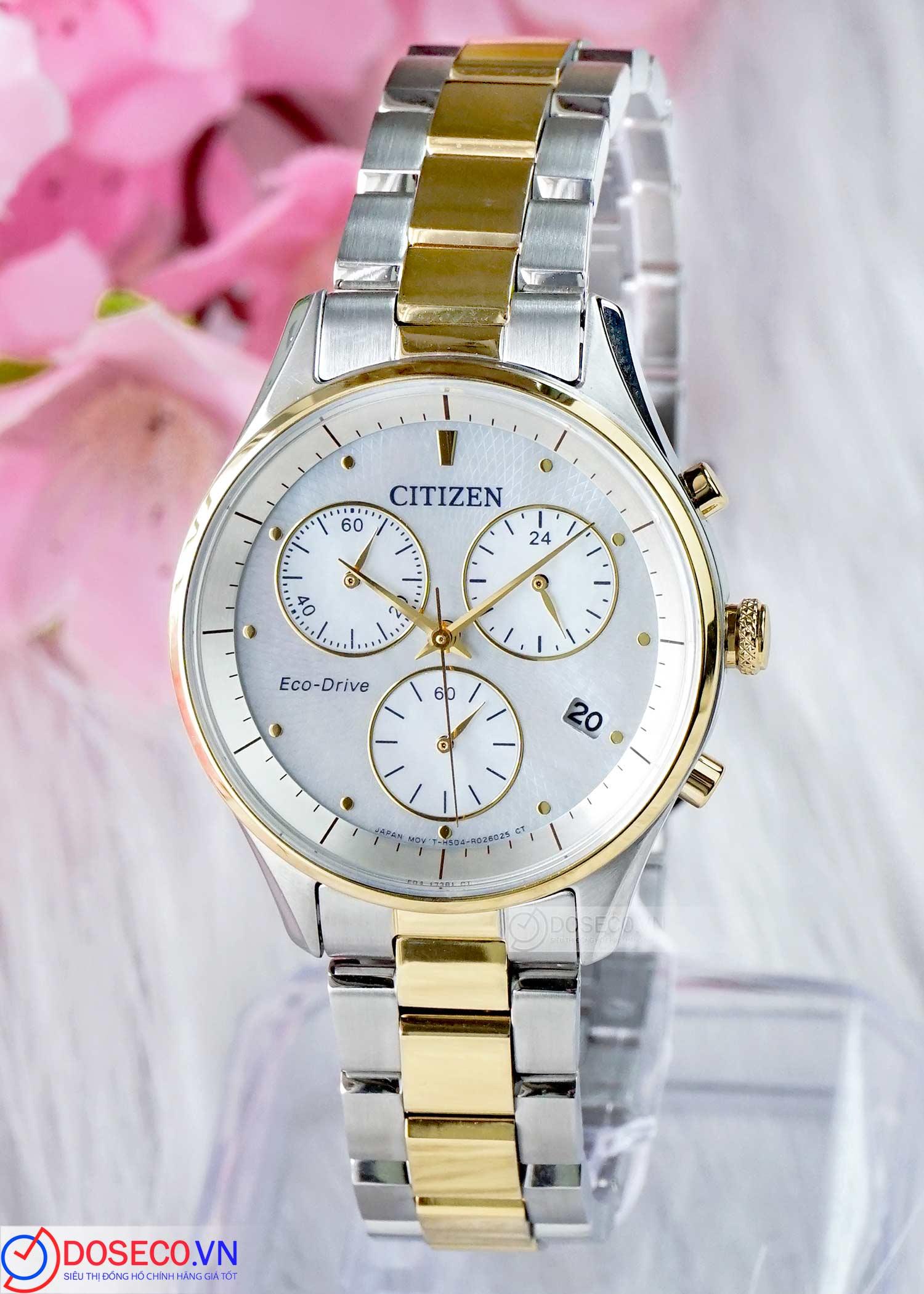Citizen Eco-Drive FB1444-56D (1).jpg