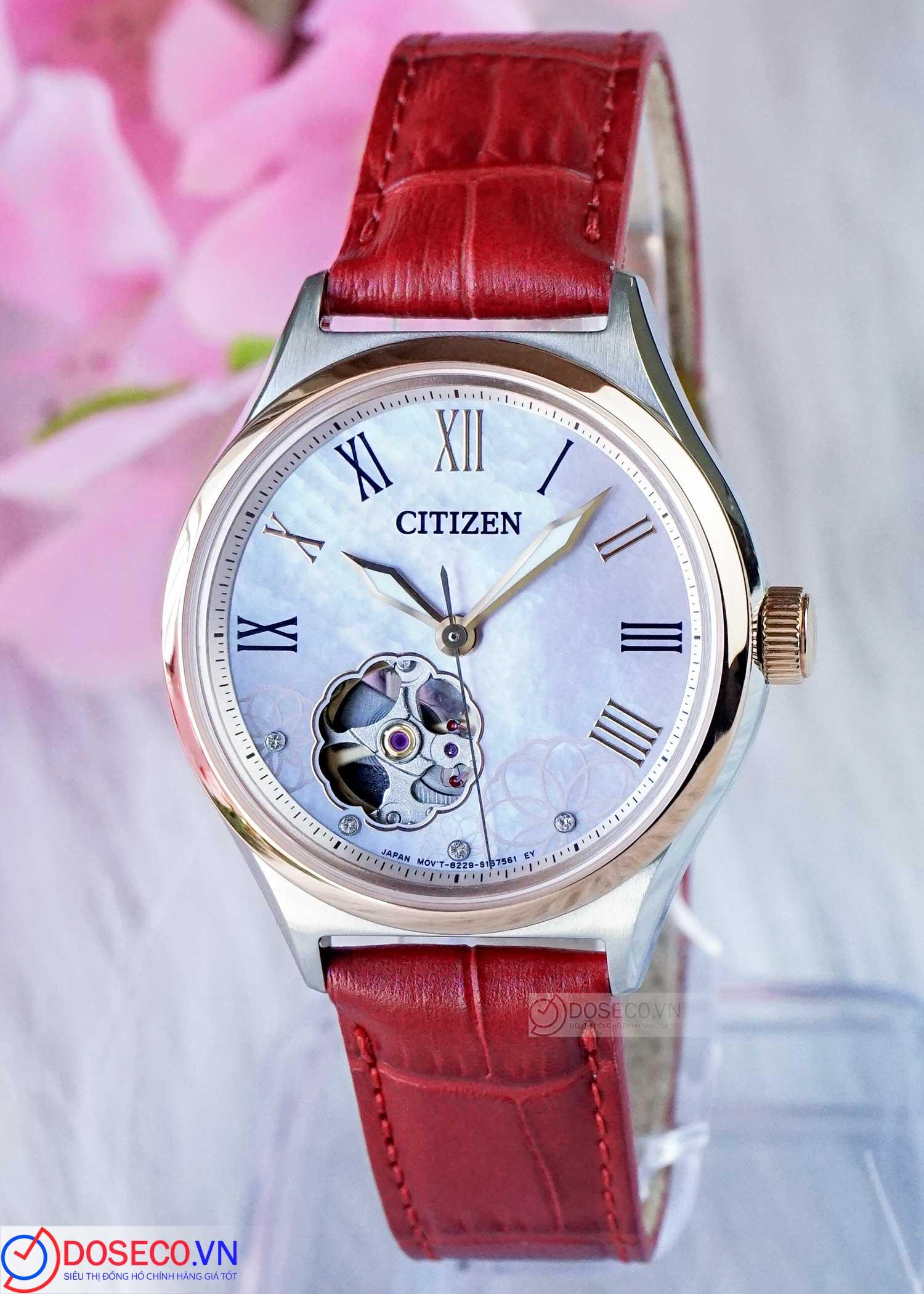 Citizen PC1008-11Y (1).jpg