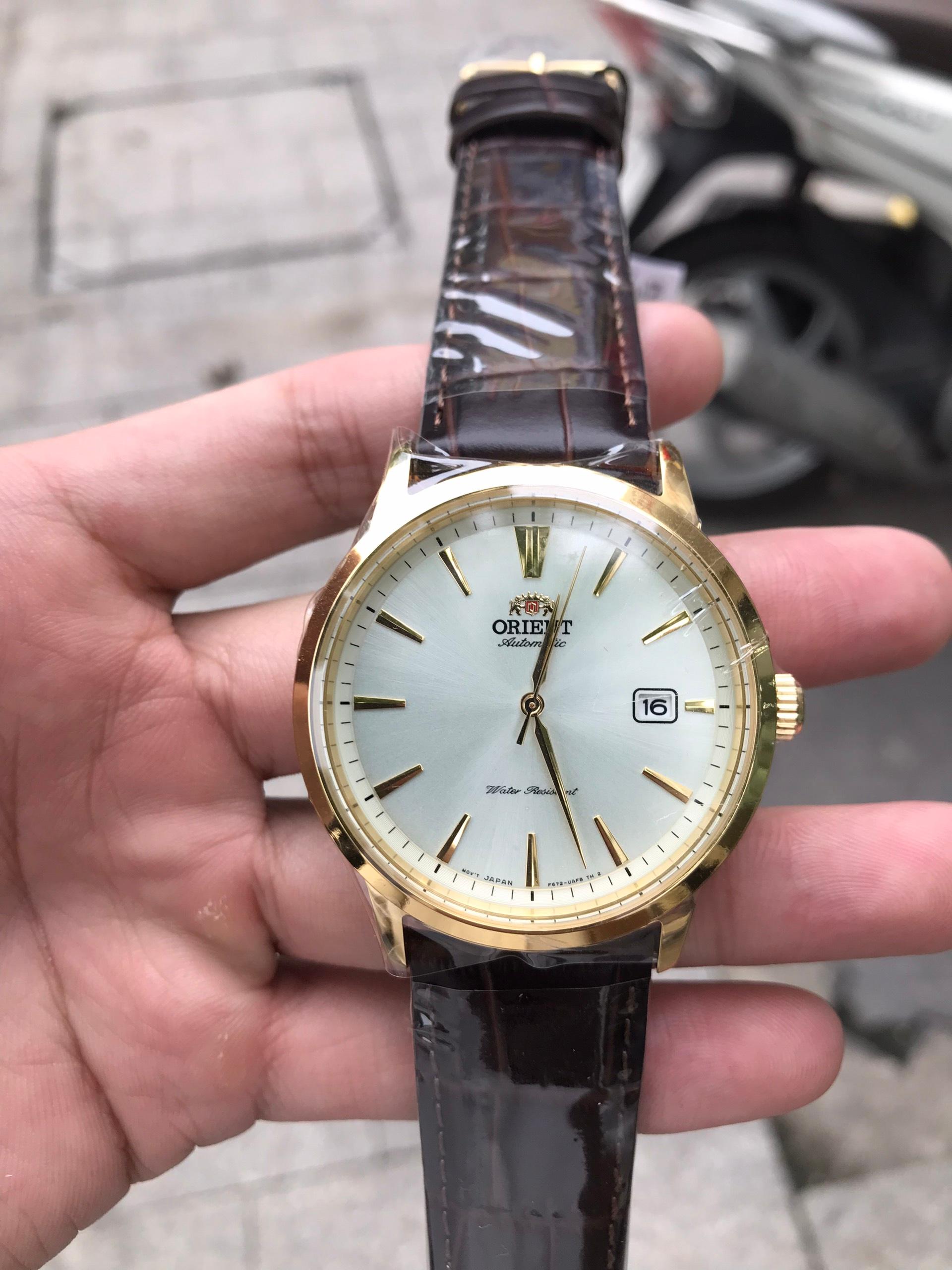 z4330030968496_be9e4cc860af8545d76a87c481642786 (1).jpg