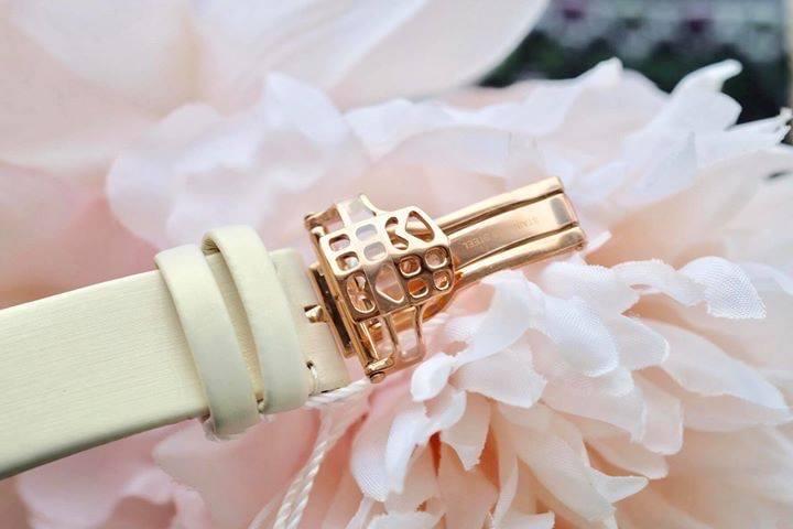 FC-310WHF2P4U (5).jpg