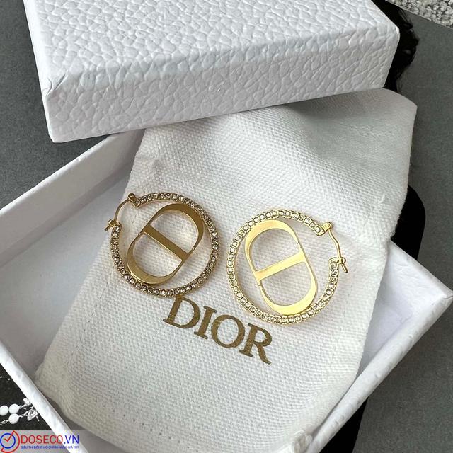 Dior E1760MTGCY D301