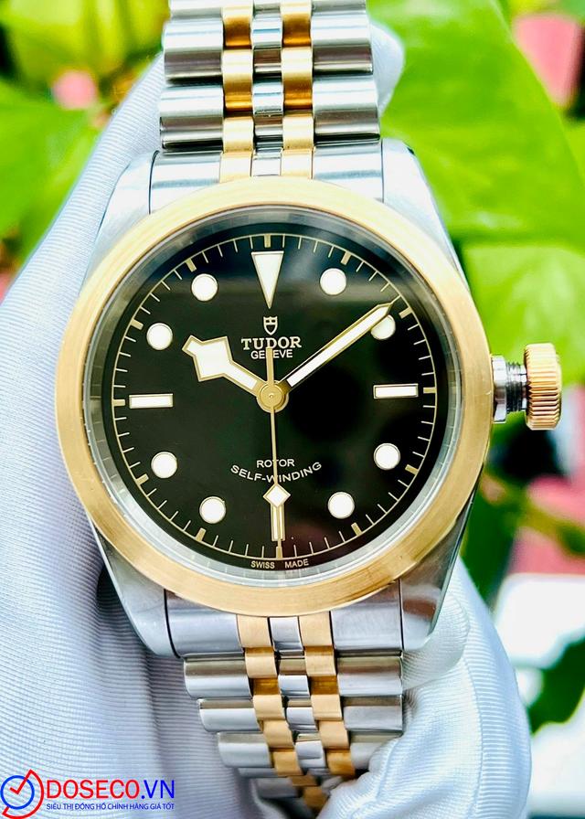 Tudor Black Bay 79543 used