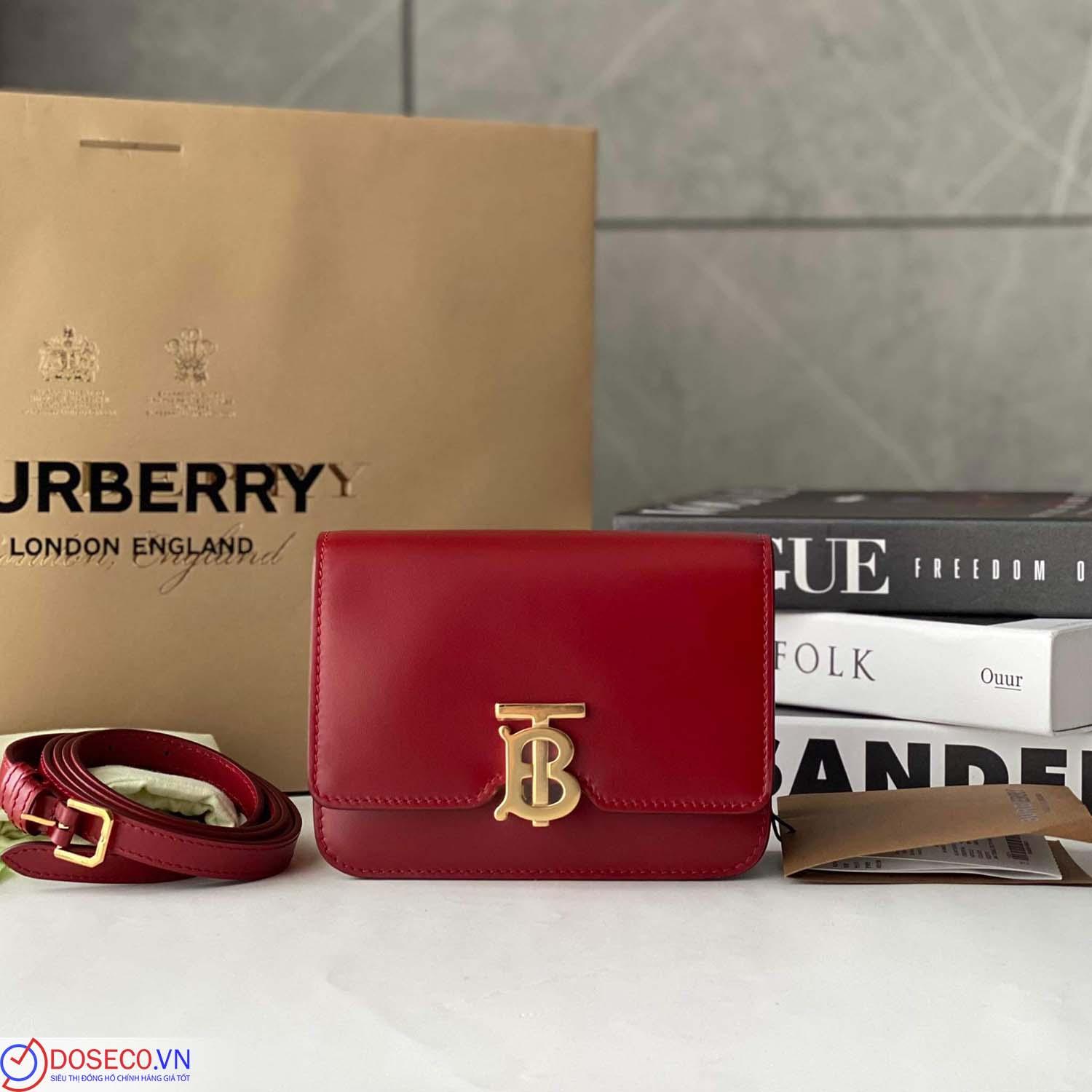 Burberry80410281 (1).jpg