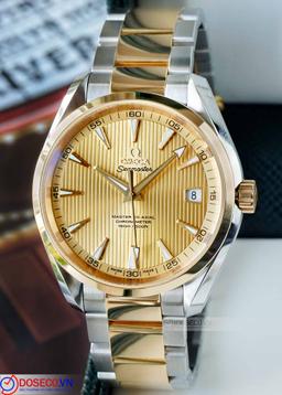 Omega Seamaster Aqua Terra 231.20.42.21.08.001