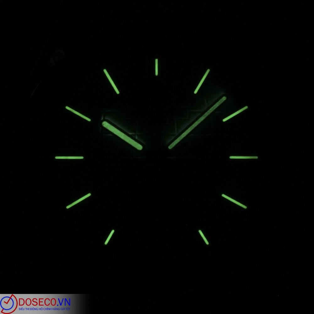 CARNIVAL 8113G-VT-XL (5).jpg