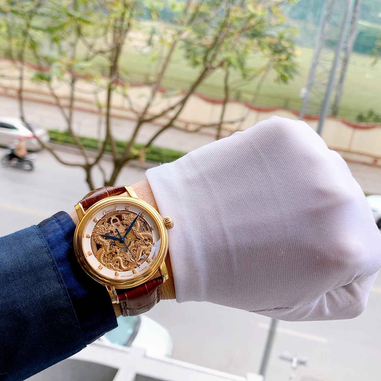 OGIVAL SONG LONG OG358.652AGR-GL Like new (10).jpg