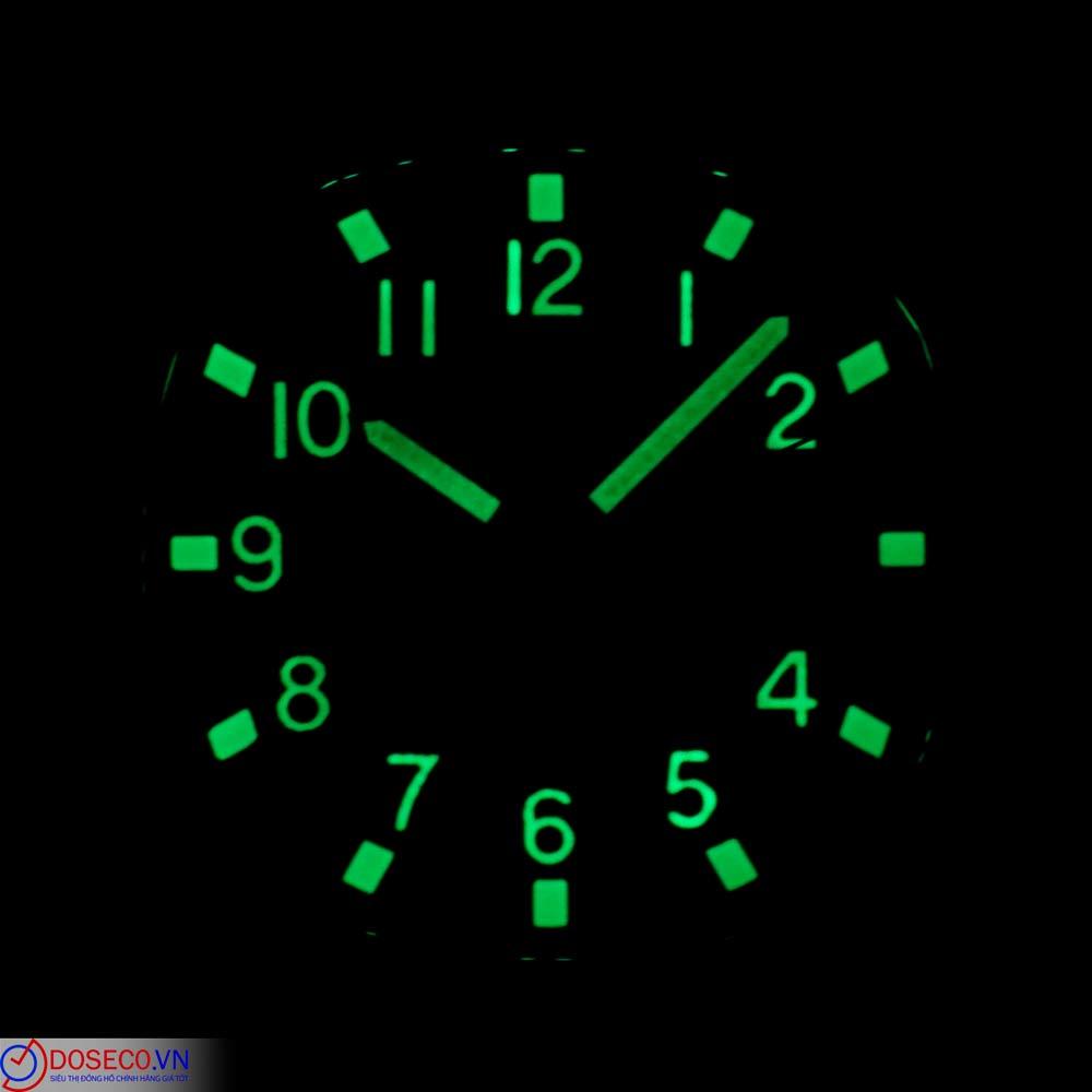 CARNIVAL 8130G-VT-DCS-X (10).jpg