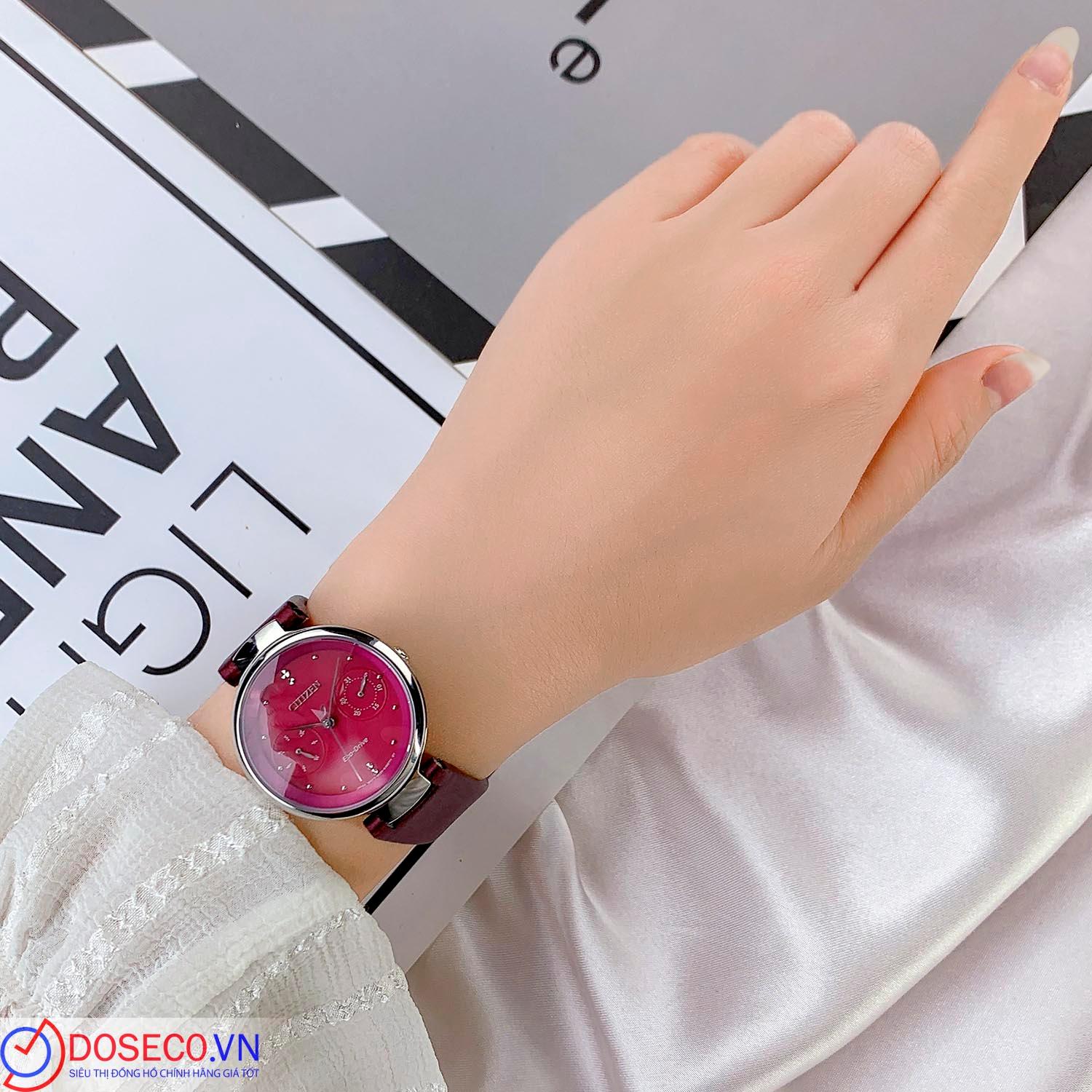 Citizen Eco-Drive FD1100-10X (1).jpg