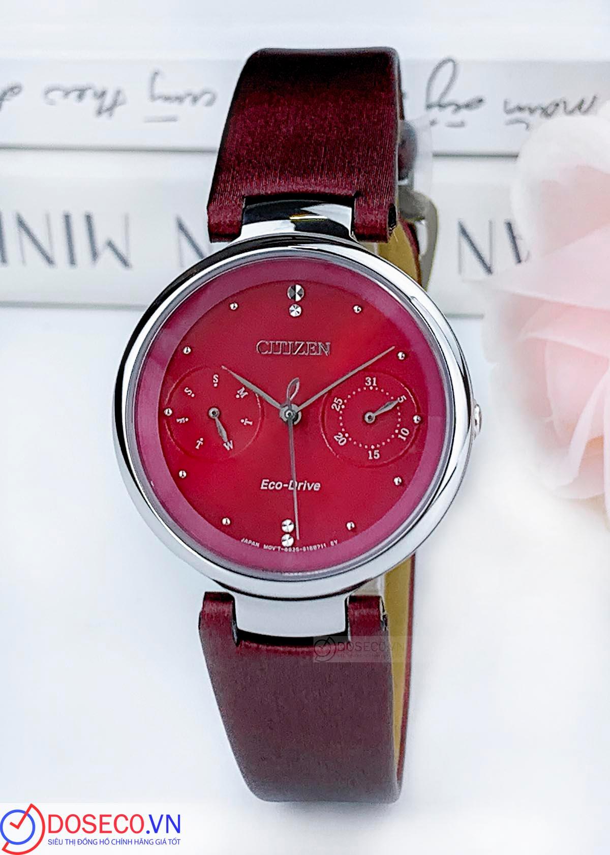 Citizen Eco-Drive FD1100-10X (2).jpg