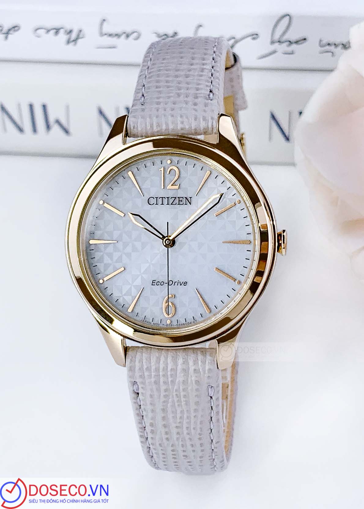 Citizen Eco-drive EM0509-10A