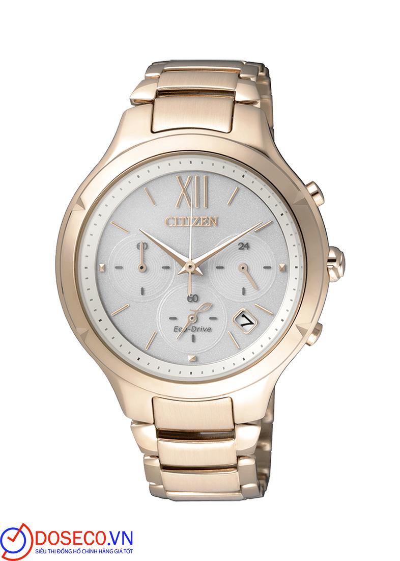 Citizen FB4013-51A (1)_1725443825463.jpg