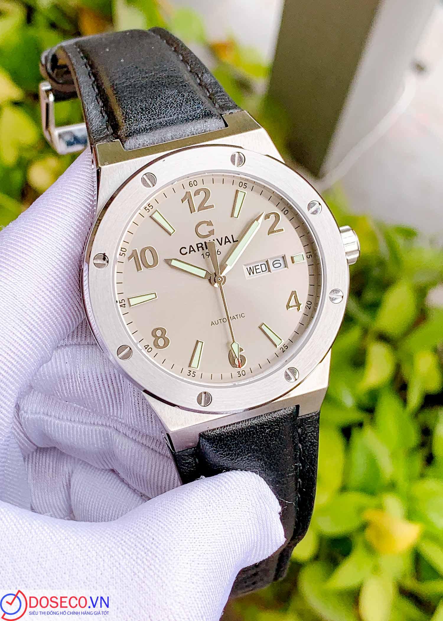 Carnival 8089G-VT-DD-N Used (1)_1735033658516.jpg