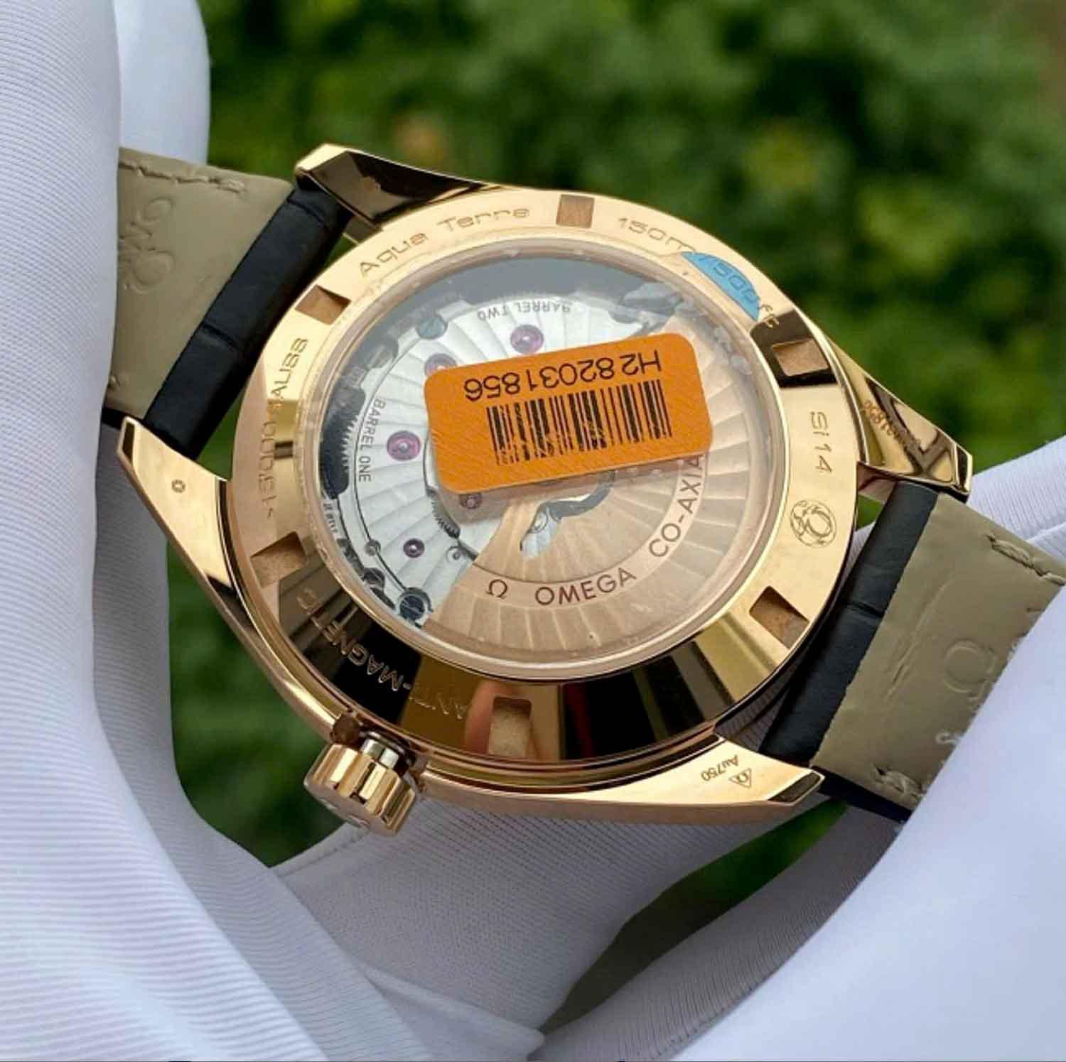 Omega Seamaster Aqua Terra 231.53.42.21.06.002 (5).jpg