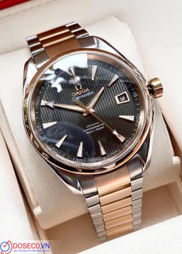 Omega Seamaster Aqua Terra Master 231.20.42.21.06.003 (23120422106003) USED