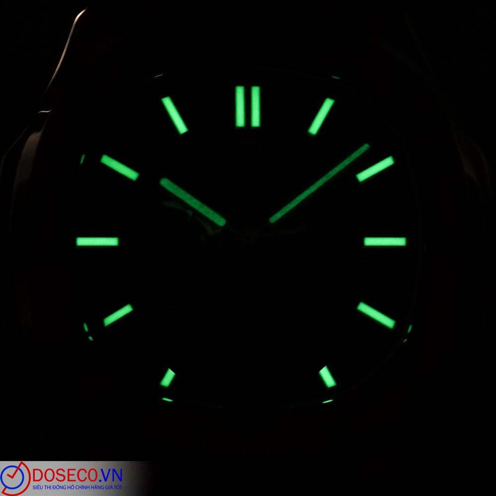 Carnival 8110G1-VT-DD-T (10).jpg