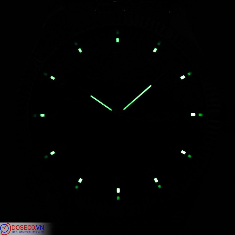 Carnival 8131G-VT-X (9).JPG