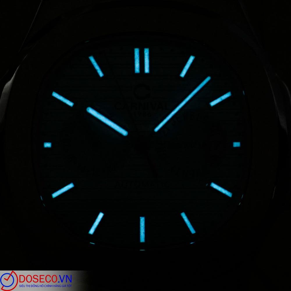 Carnival 8158G-VH-DD-T (2).JPG