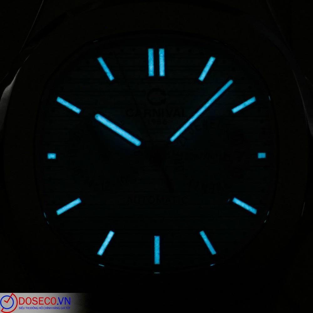 Carnival 8158G-VT-XD (10).JPG