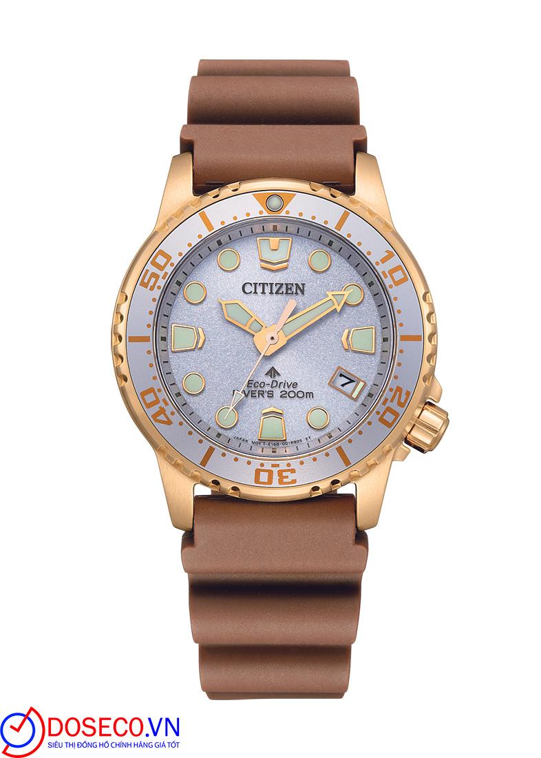 Citizen Promaster EO2022-02A (1)_1746853054055.jpg