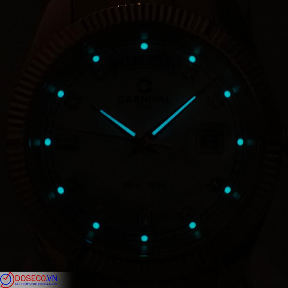 Carnival 8190G-CH-T (10).JPG