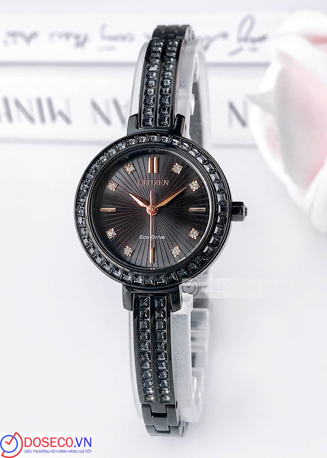 Citizen Eco-Drive EM0865-58E (1)_1758263891004.jpg