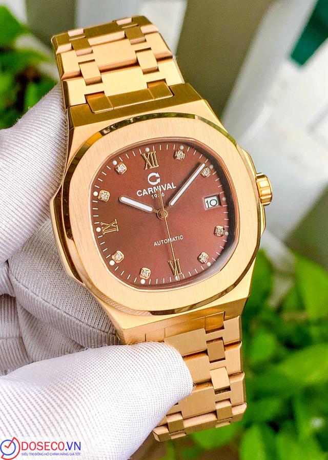 CARNIVAL 8160G-VH-N Used