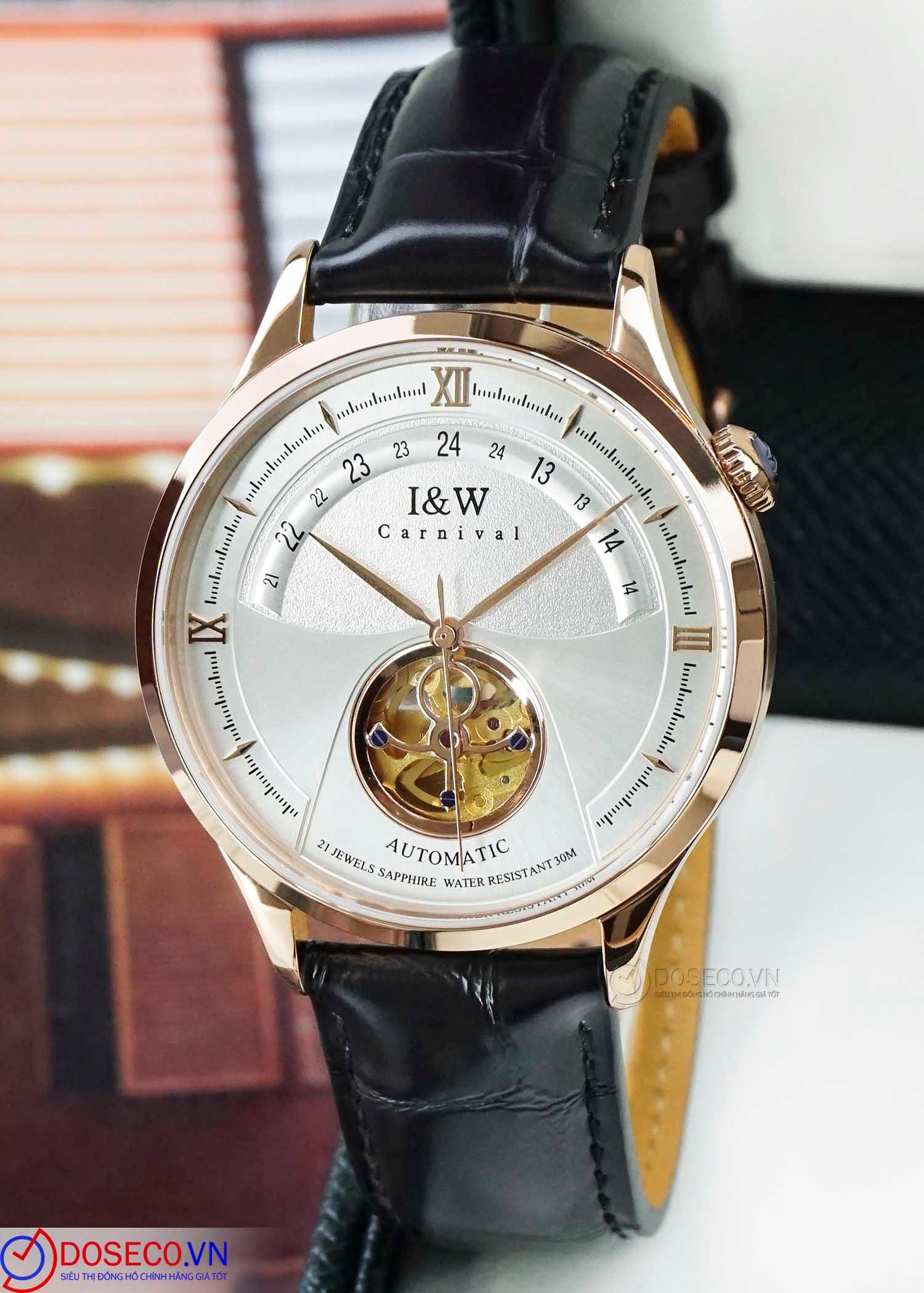 I&W Carnival 525G-D1 (2)_1767061175441.jpg