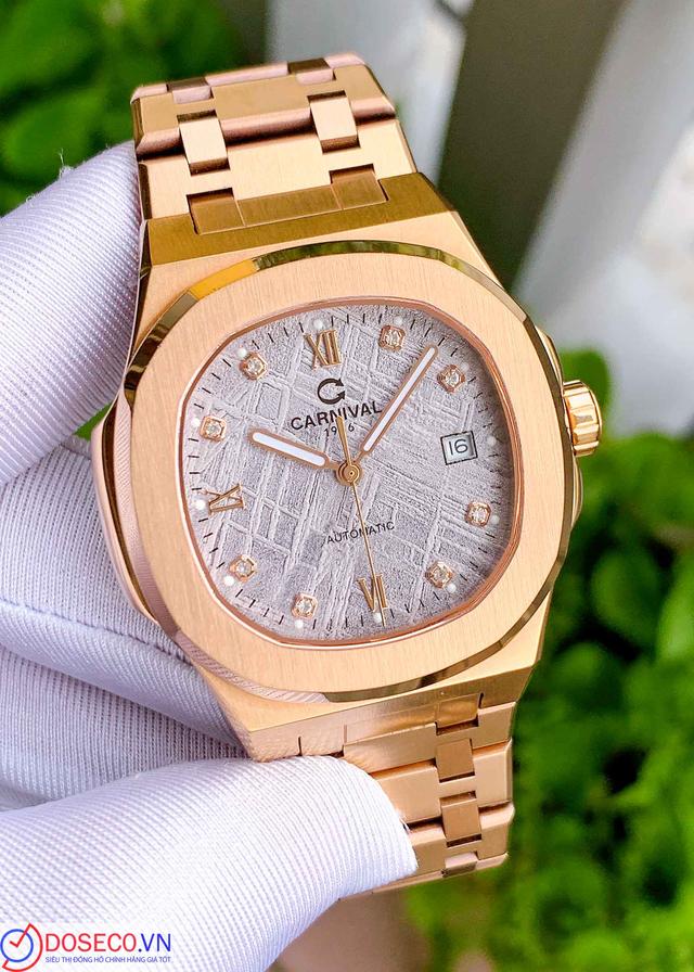 CARNIVAL 8160G-VH-TT Used