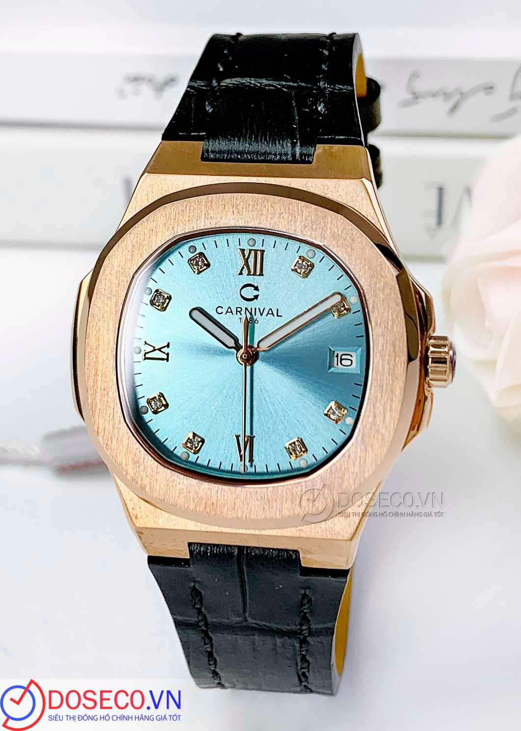 Carnival 8160L-VH-DD-XT (2)_1773740599246.jpg