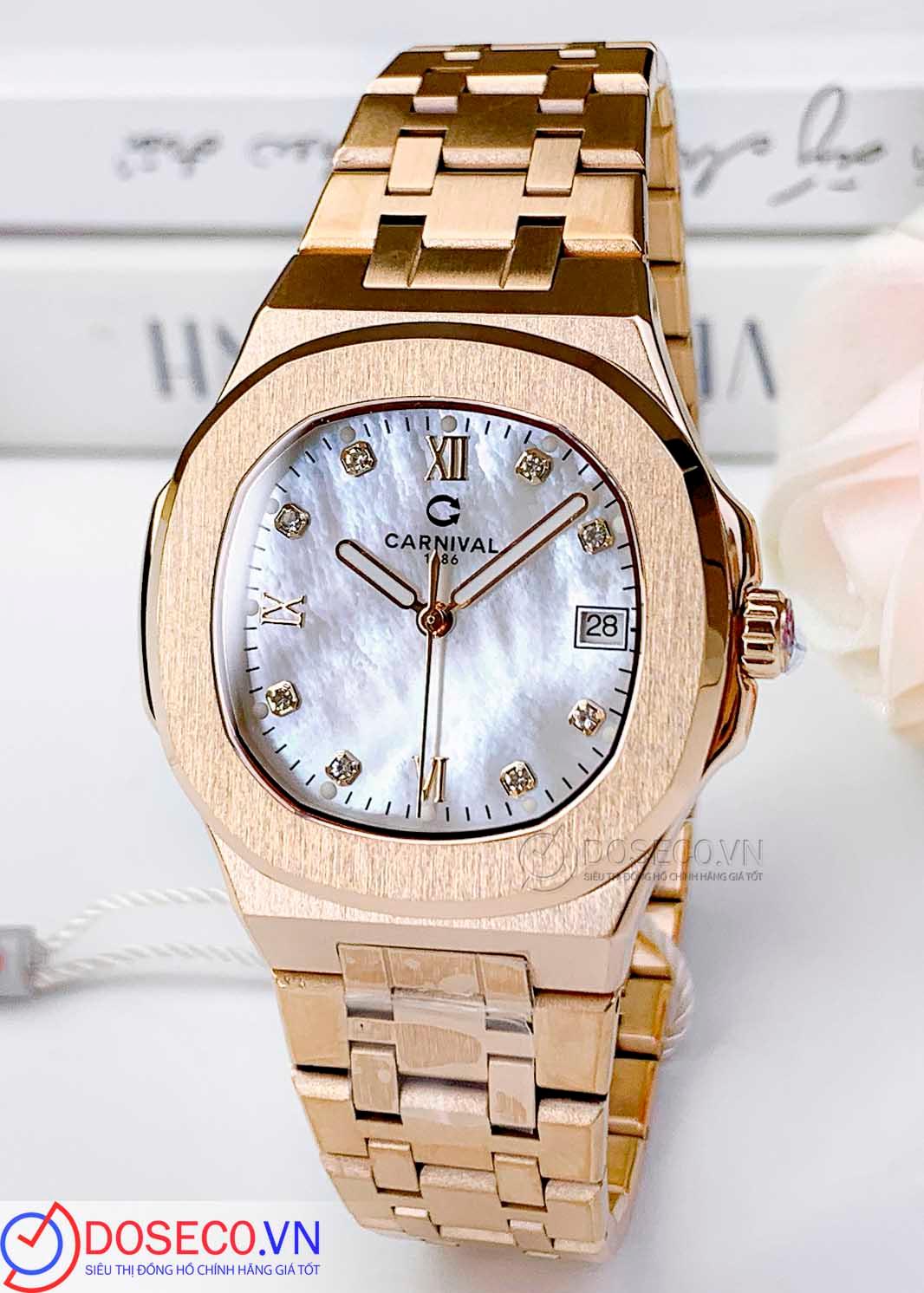 Carnival 8160L-VH-TK (2)_1773740840437.jpg