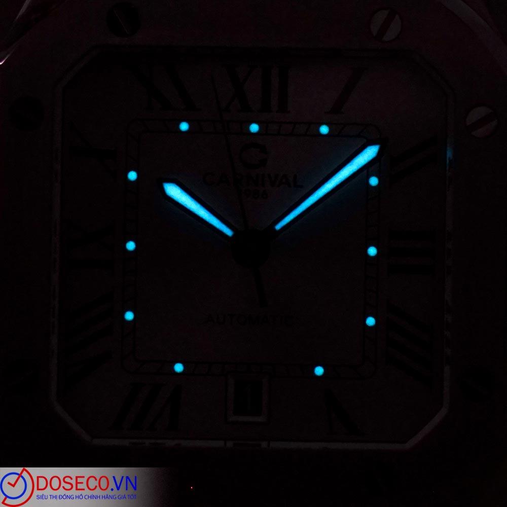 Carnival 8169G-VT-D (13).JPG