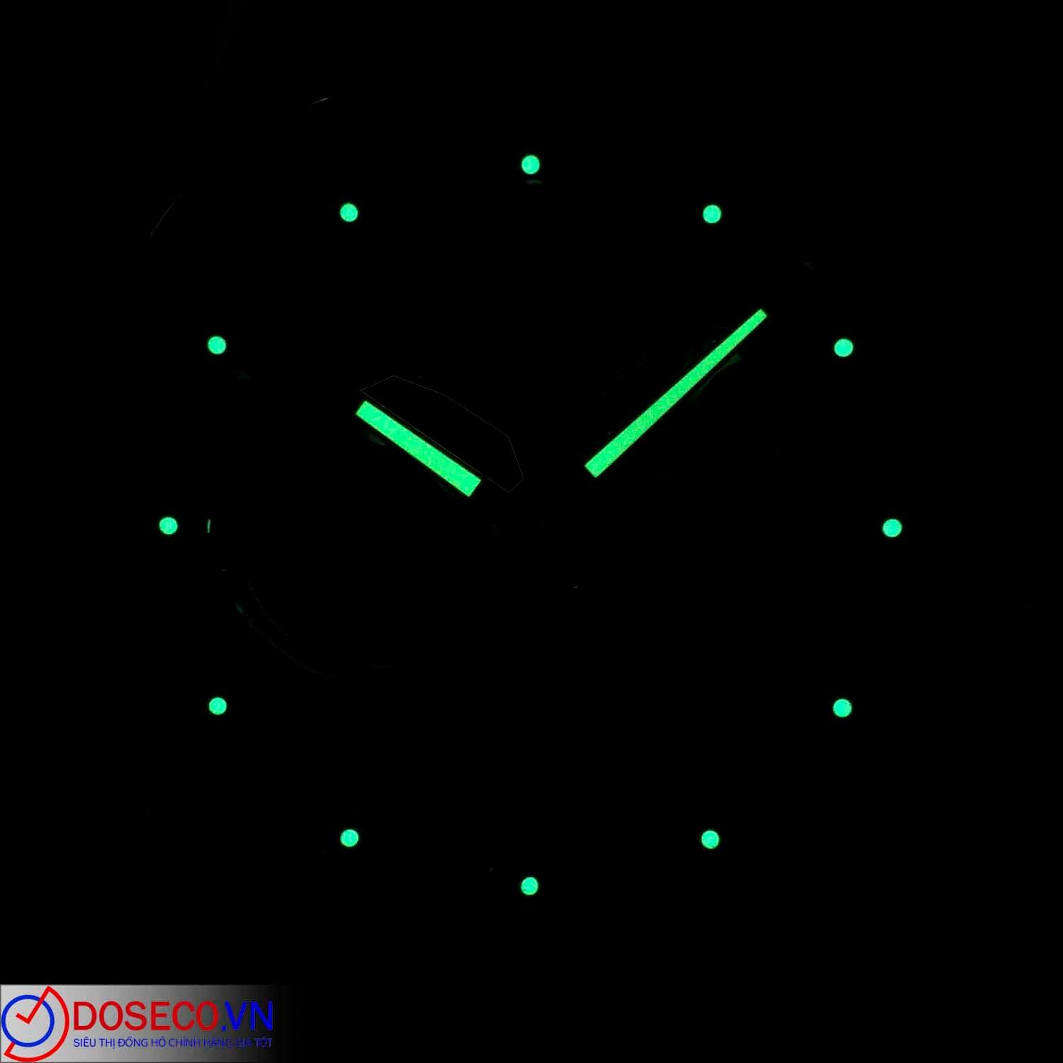 I&W Carnival 751G-T8 (1).jpg