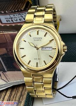 CITIZEN Quartz Gents Collection BF0552-61P Used