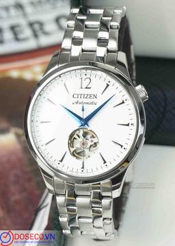 Citizen NH9131-73A